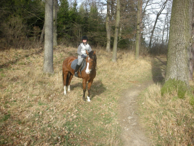 DSCN0197.jpg
