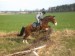 DSCN0199.jpg
